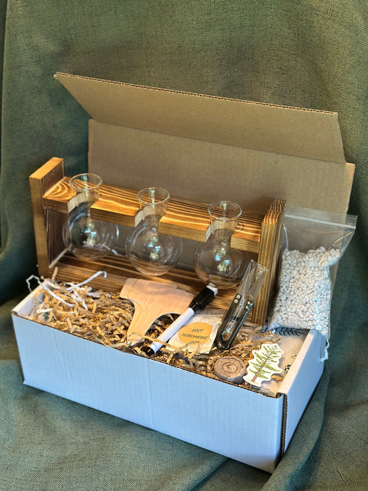 Plant Propagation Starter Kit